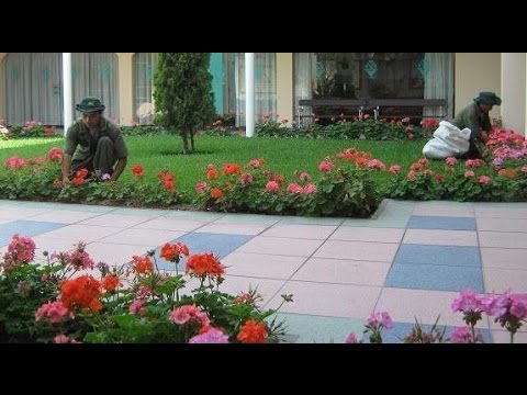 Consejos básicos para cuidar tu jardín hqdefault