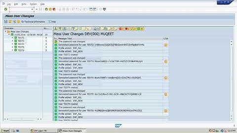 SAP Basis User Administration