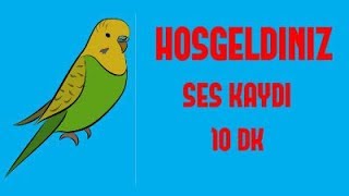 Muhabbet Kuşu Hoşgeldi̇ni̇z Hazir Ses Kaydi