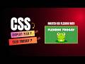 HTML & CSS Full Course 2026 – Lesson 17C: Master CSS Flexbox with Flexbox Froggy