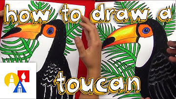 How To Draw A Realistic Toucan