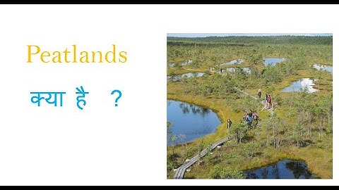 Peatlands UPSC PRELIMS 2021