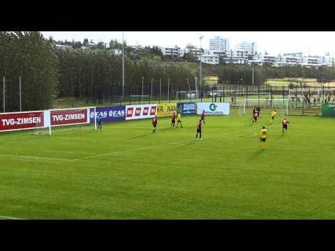 VikiR-FjolnirR