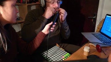 Vietnamese instrument sample