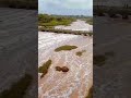 🥰   #Trending#Viral#Shorts#Reels#Explore#Now#Boost#Hit