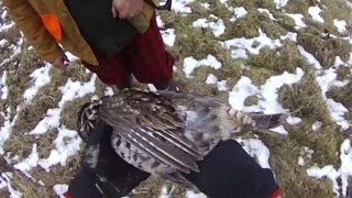 Small Game Hunting #2: Dances with Grouse screenshot 5