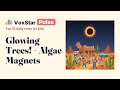 Kids Daily News: Glowing Trees! ⚡ + Algae Magnets 🌿 | VoxStar Pulse — Top 10 Daily News