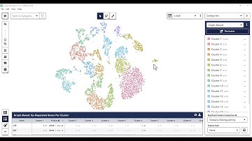 Loupe Browser 6 Tutorial - Basic Tools & User Interface