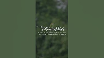 ( ۖ يَا جِبَالُ أَوِّبِي مَعَهُ وَالطَّيْرَ ۖ وَأَلَنَّا لَهُ الْحَدِيدَ ) - سورة سبأ -#حالات_واتس