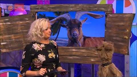 Katie and Hacker live on CBBC: GOAT FLAPS