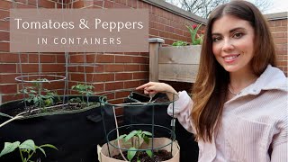 Planting Tomatoes & Peppers in Grow Bags | Container Gardening