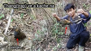 Thang(trap) ve a kache kit te loi le pai tehe ho