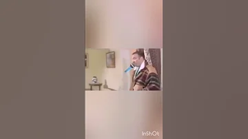 اللمبي مع السلامو عليكم محشش تحشيش مقاطع مضحكة ضحك وناسه استهبال Funny Laugh Laughing 