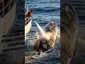 Professional Ship Cleaning Services 🌊⚓ | #ShipCleaning #MarineMaintenance