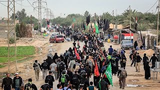 LIVE 🔴 Arbaeen Walk 2025 | Najaf to Karbala | Safar E Ishq E Hussain | 11 Safar 2025/1447 H screenshot 2