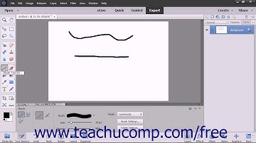 Photoshop Elements 2018 Tutorial Painting Tools Adobe Training