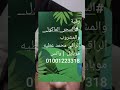 اقوى رقيه المدمره للسحر المطعوم ماكول او مشروب ولو من الف عام الراقي محمد عطيه 01001223318