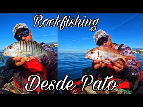 PESCA Decathlon Salamanca - PATO FLOAT TUBE - 5 ¿Aún no tienes pato para  pescar en medio del río y buscar esos buenos depredadores? Se acerca la  época de buscar grandes depredadores.