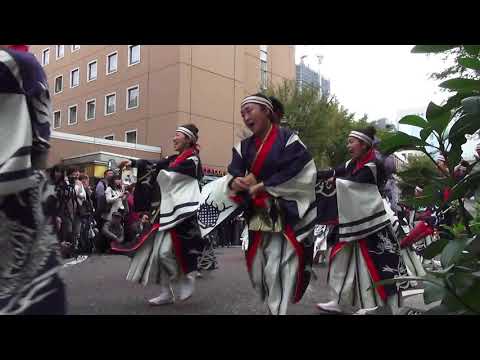 横浜よさこい祭り'18 定点 躍動 - 義心一刀