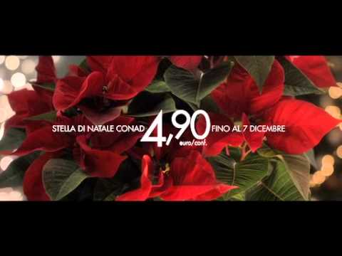 Stella Di Natale Conad.Conad Stella Di Natale 2013 Youtube