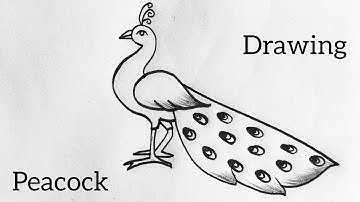 Peacock drawing easy🦚😍| How to draw a beautiful Peacock easy | Mor drawing easy #peacock