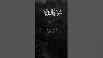 سورة البقرة. ❤️ Ayat : 275 Best Islamic Status Video YouTube Quran Translation Urdu Sarmad___Chattha
