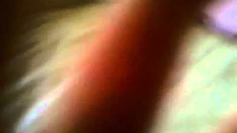 October 16, 2010 4:35 PM