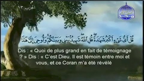 ص 130 - سورة الأنعام - مكررة 7 مرات للتثبيت - الشيخ سعود الشريم