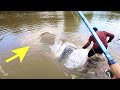 The BIGGEST FISH in the RIVER!!! (INTENSE)