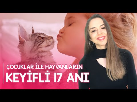 Çocuklar ile Hayvanların Keyifli 17 Anı!