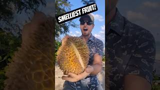 Download Lagu What is the Stinkiest Fruit in the World? Durian, the king of fruits! MP3