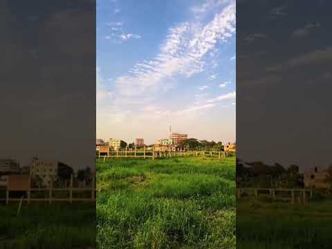 মৃত্যু খুব ভয়ানক