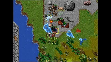 Tibia Laudera Pking Pvp 2