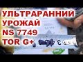 ЧЕМ ХОРОШИ РАННИЕ ПОДСОЛНЕЧНИКИ | #ТОР НС 7749 как не купить подделку семян