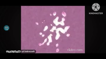 RJ Kumar Version Of I KILLED Klasky Csupo Robot Logo FX (New Effect/Avs Version) Is In Slow Motion..