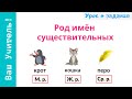 Род имен существительных. Как определить род имен существительных?