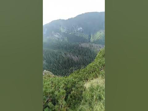 Татри в Польше #гори - YouTube
