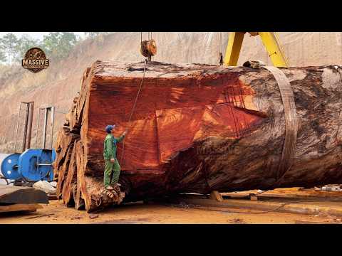 The Most Beautiful Wood Ever Found Inside a 2000-Year-Old Tree