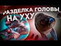 Разделка головы на уху. Cutting the head on the ear