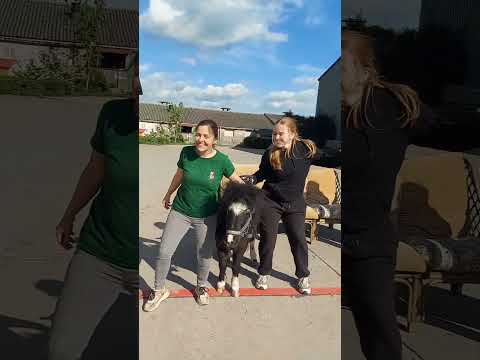 Week 5 - Met 4 in bed (bos, stal)
