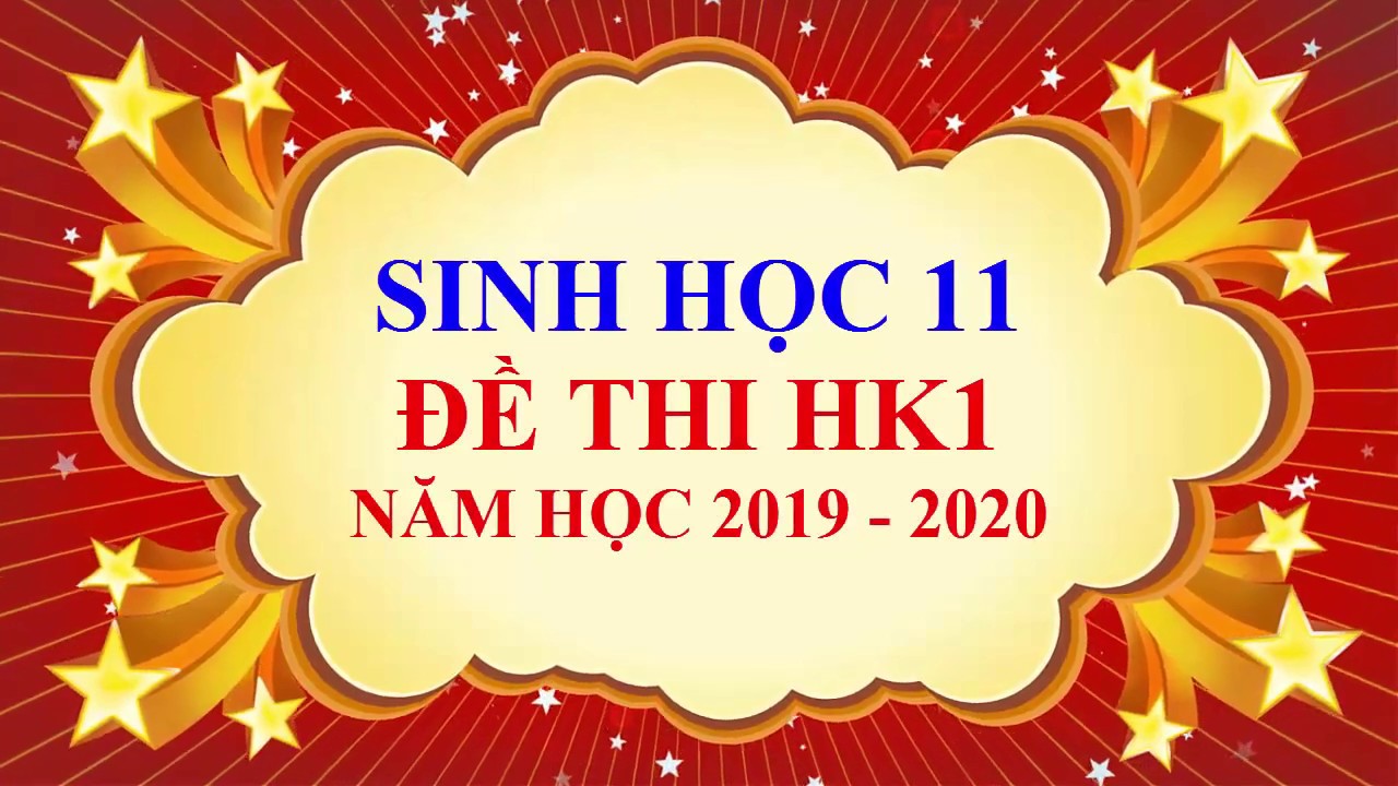 Đề thi sinh 11 học kì 1 | Sinh học lớp 11 – Đề thi học kì 1 – năm học 2019 – 2020