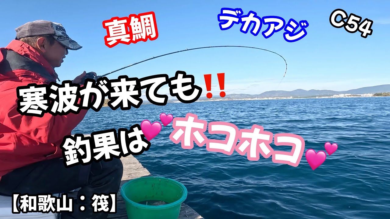 C54【真冬で釣れてなくても釣れる釣り方💕】in和歌山県：堅田の筏
