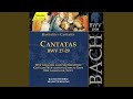Miniature de la vidéo de la chanson Cantata, Bwv 28 "Gottlob! Nun Geht Das Jahr Zu Ende": Vi. Choral "All Solch Dein Güt Wir Preisen"