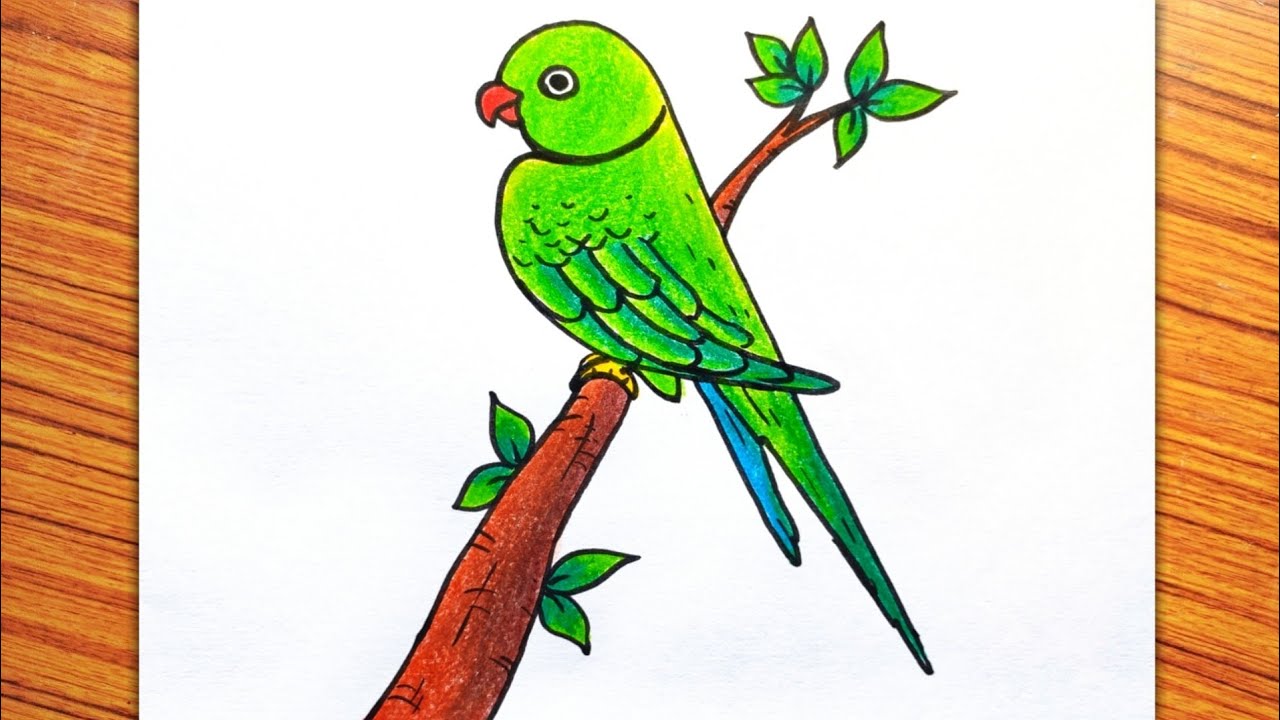 The Ultimate Collection of 999+ Parrot Drawing Images in Stunning 4K