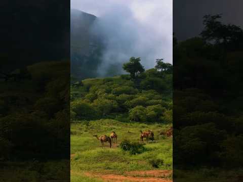 تباشير خريف ظفار 2024م