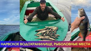 Нарвское Водохранилище, рыболовные места, рыбы в кадре нет! но вы сами угадайте сколько Я Поймал.