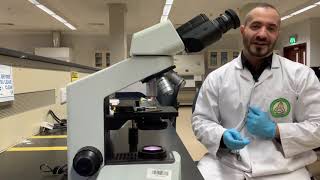 Biology 101, Experiment #2: Microscopy and Cells