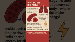 “Ever thought why we breathe every second?  #biologyfacts #biology #class9biology
