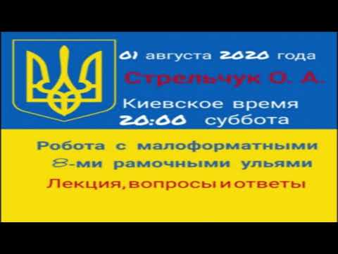 Работа с малоформатными 8-ми рамочными ульями  Лекция, вопросы и ответы