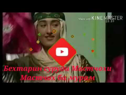 Мастчох ба мурам♡ Бехтарин суруд дар васфи Мастчох